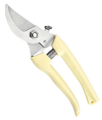 SEKATOR