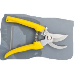 SEKATOR