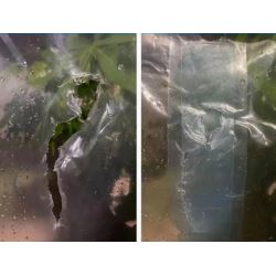 Taśma do folii szklarniowej naprawcza 100mmx10m transparentna