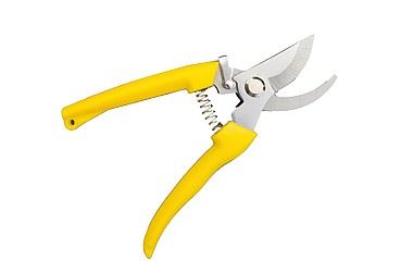 SEKATOR